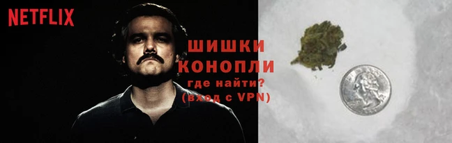 гидропоника Алексеевка